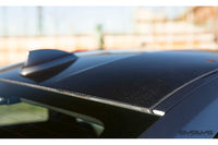Alpha N Carbon Fibre Roof Panel - BMW 2 Series F87 M2 | M2 Competition - Evolve Automotive