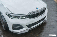 Carbon Fibre Double Slat Kidney Grilles for BMW 3 Series Pre - LCI (2019 - 2023, G20 G21) - Evolve Automotive