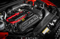 Eventuri Carbon Fibre Intake System - Audi RS3 8V Gen 1 - Evolve Automotive